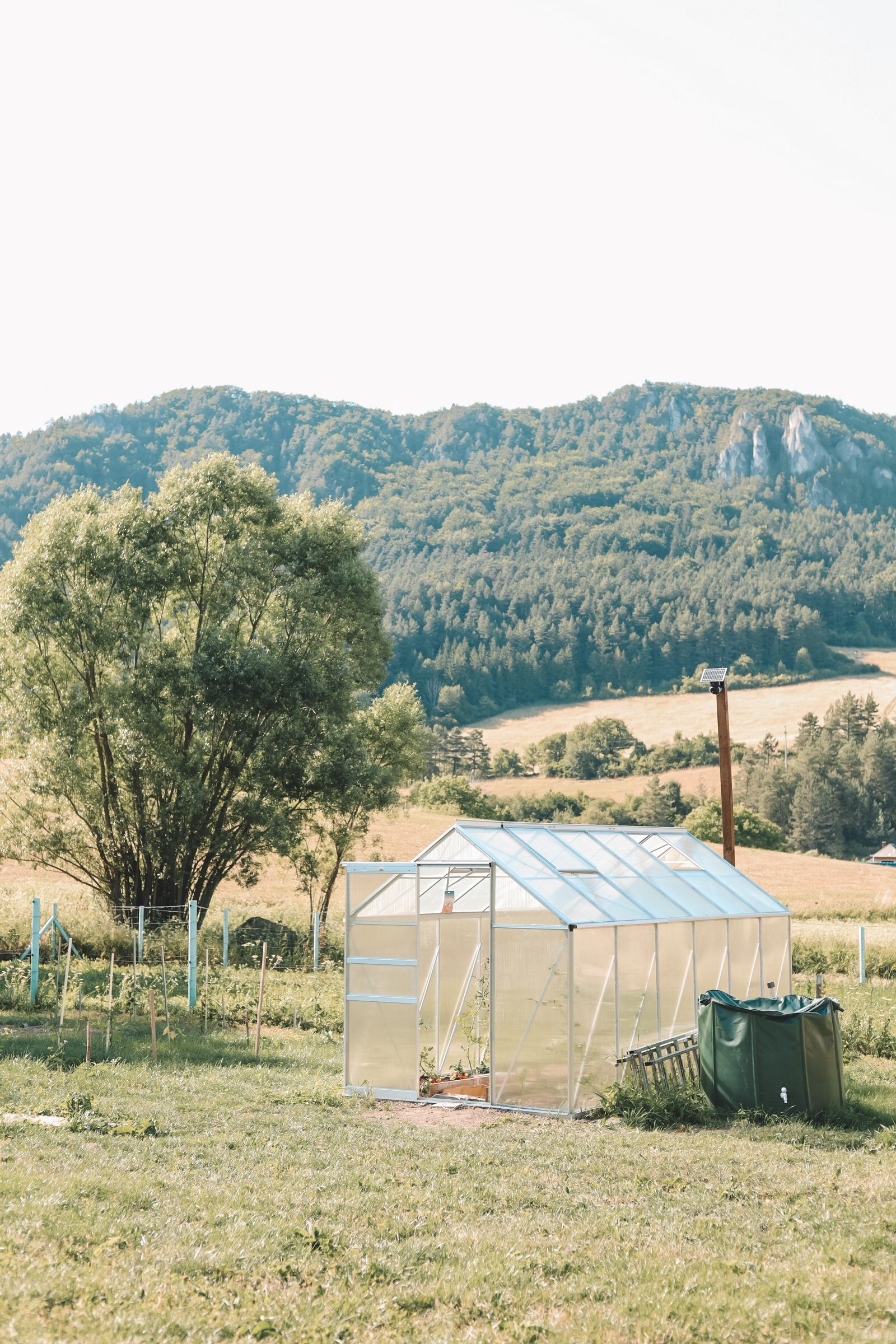 Hlavný obrázok galérie